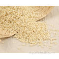 Grains de riz les plus sains